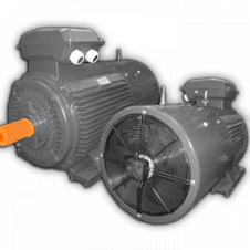 22/750 АДЧР 200L8У2 исп 2081 эл. двигатель